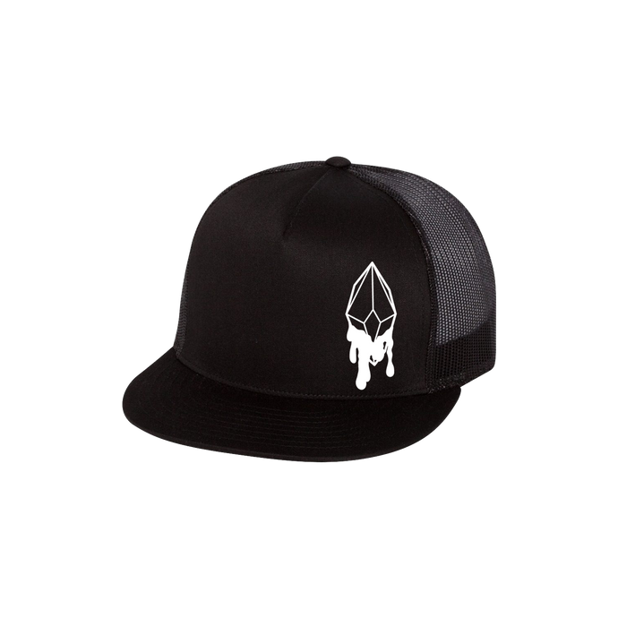 SLVR LNNG Logo Snapback Hat infused with Obsidian & Amethyst